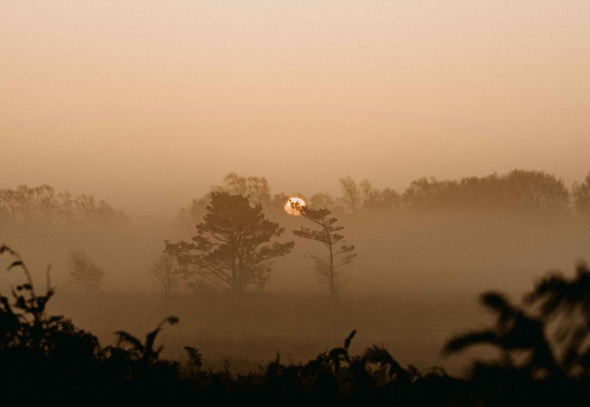 品牌全案 品牌全案