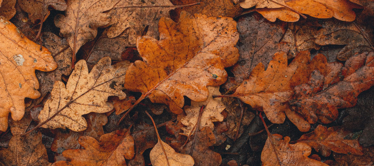 餐飲品牌形象設計公司