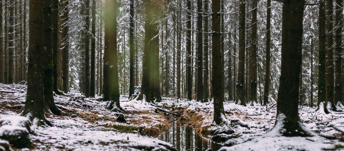 快消品包裝設(shè)計(jì)公司 快消品包裝設(shè)計(jì)公司