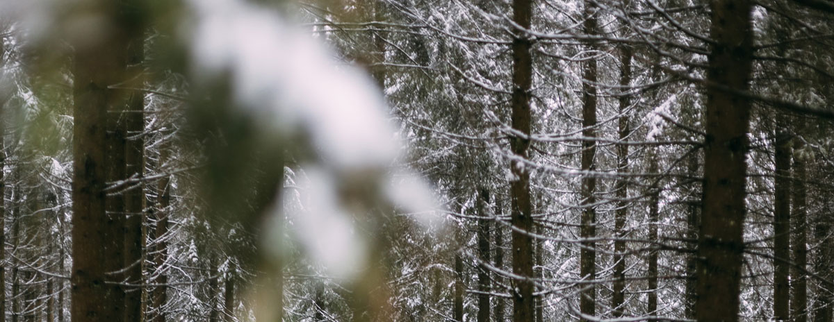 品牌設(shè)計(jì)公司 品牌設(shè)計(jì)公司