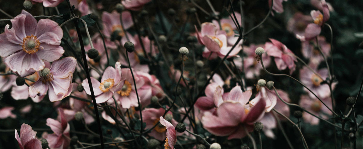 品牌全案設(shè)計公司 品牌全案設(shè)計公司