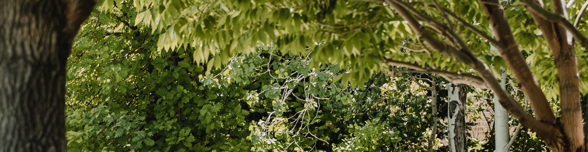 深圳包裝設(shè)計(jì) 深圳包裝設(shè)計(jì)