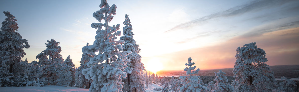 品牌全案設(shè)計(jì)公司 品牌全案設(shè)計(jì)公司