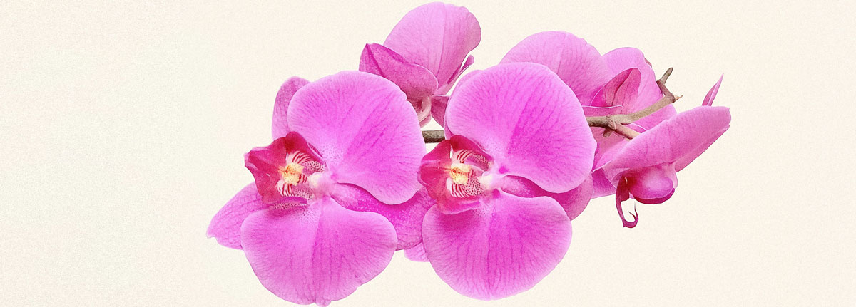 深圳食品包裝設(shè)計(jì) 深圳食品包裝設(shè)計(jì)