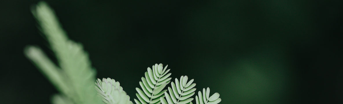 深圳平面設(shè)計(jì)公司