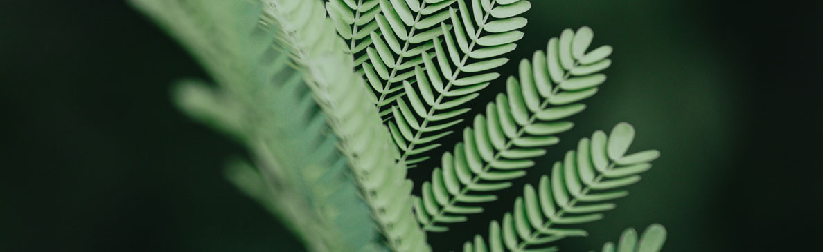 深圳食品包裝設(shè)計(jì)