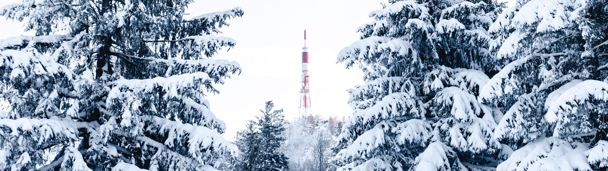 品牌策略全案設(shè)計(jì) 品牌策略全案設(shè)計(jì)