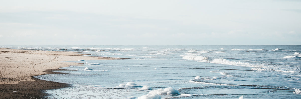 深圳食品包裝設(shè)計(jì) 深圳食品包裝設(shè)計(jì)