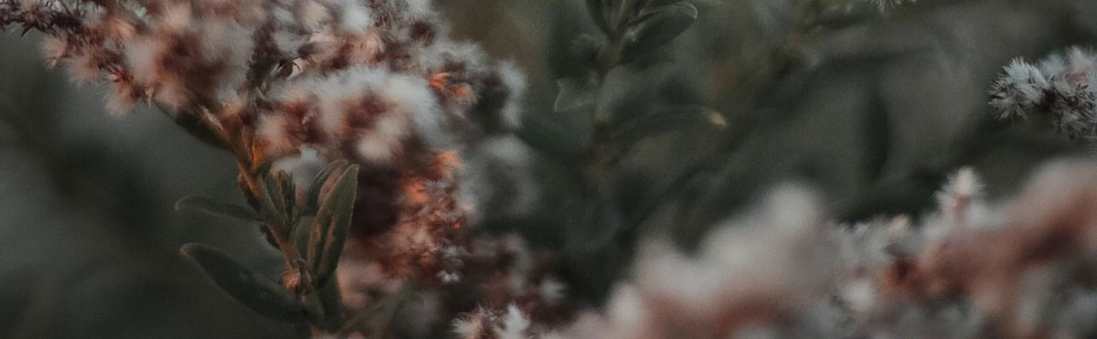 品牌策略全案設(shè)計 品牌策略全案設(shè)計