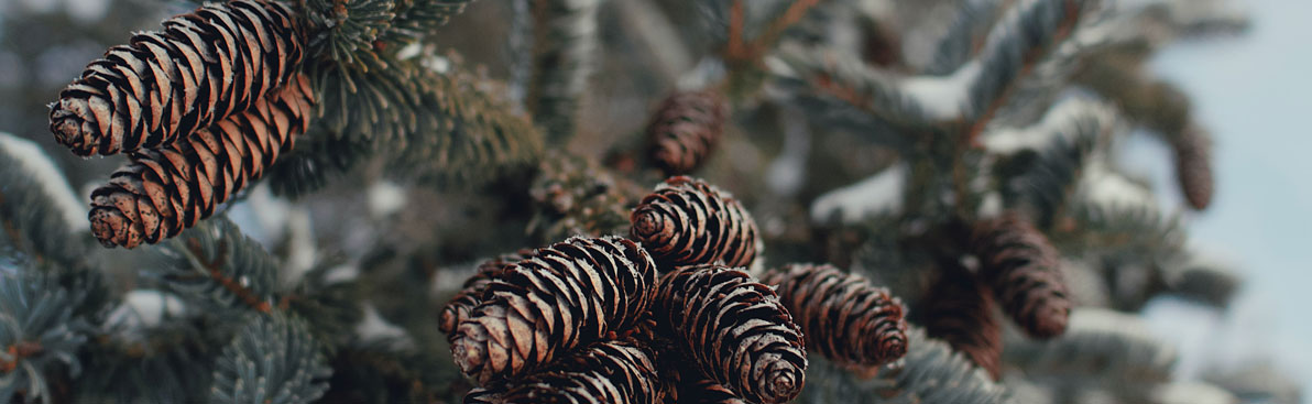 深圳平面設(shè)計(jì)公司 深圳平面設(shè)計(jì)公司