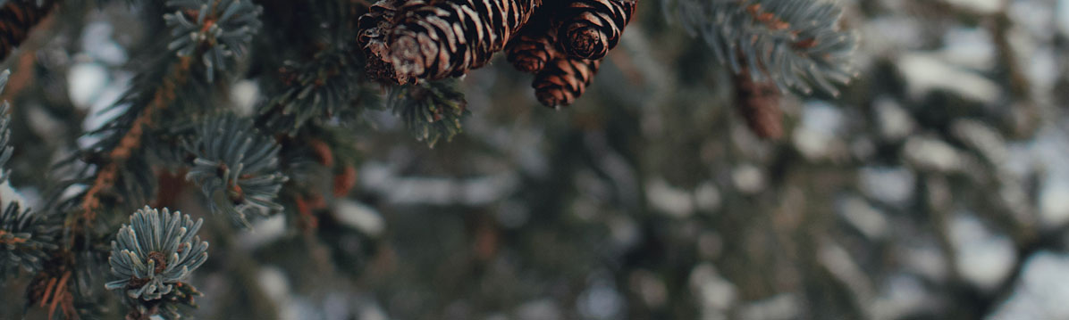 深圳平面設(shè)計(jì)公司 深圳平面設(shè)計(jì)公司