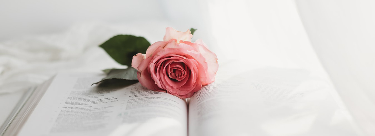 包裝設(shè)計公司