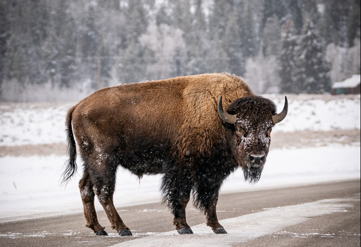 品牌設(shè)計(jì)公司 品牌設(shè)計(jì)公司