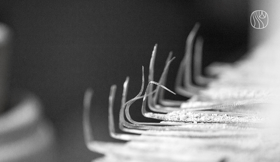 018e0fc6c2e04a6cf8ca15c973367d681621588998.jpg 20.jpg